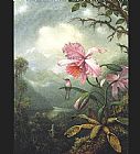 Hummingbird Perched on an Orchid Plat by Martin Johnson Heade